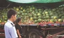 徽县吃瓜网红事件真相揭秘,真相大白，揭秘背后真相