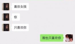 爆料四姐聊天记录视频,视频曝光惊人内幕