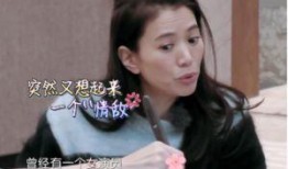 袁咏仪爆料出轨视频,真相背后引发热议