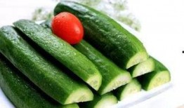 黄瓜最新爆料,揭秘绿色蔬菜背后的秘密与营养